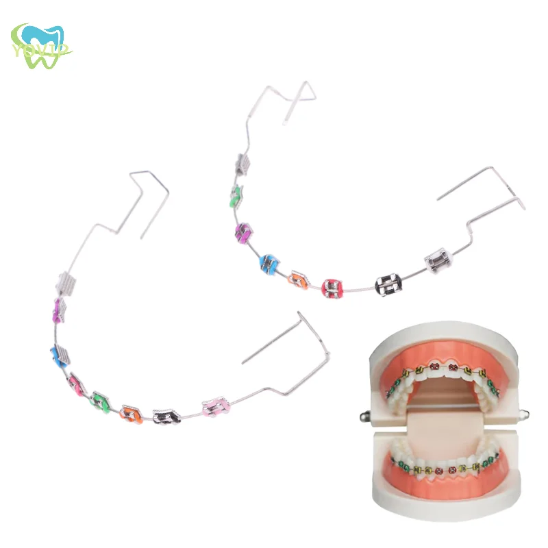 1 Pair Temporary Tooth Decoration With Metal Wires Colorful Metal Bracket And Orthodontic Ligature Ties Dental Decorations