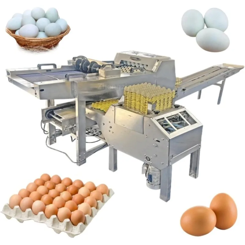 Customized Egg Washing and Grading Machine accurately Weighs, Washes,and Candles Eggs for Testing