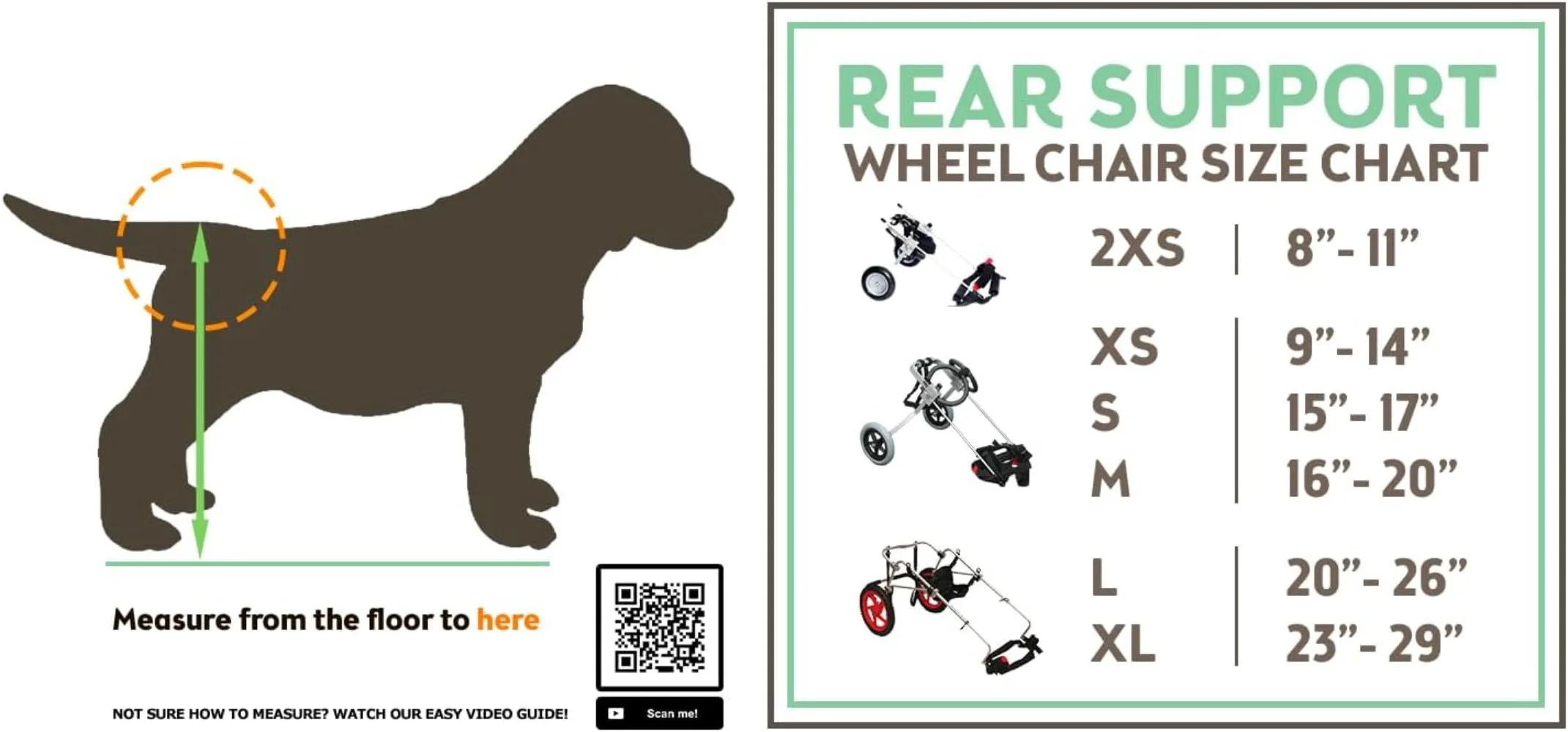 Standard Rear Support Dog Wheelchair FML Elite, Large