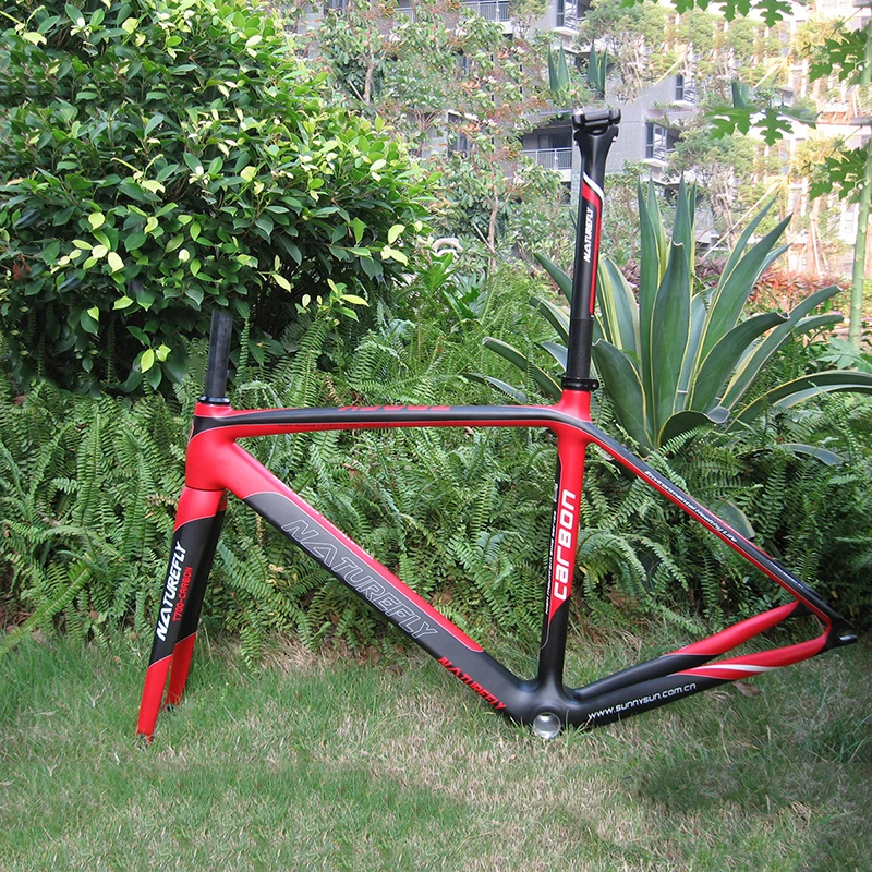 Naturefly 700c Carbon Bike Frame Track Frame Fixie Single Speed Frameset Fixed Gear Frame