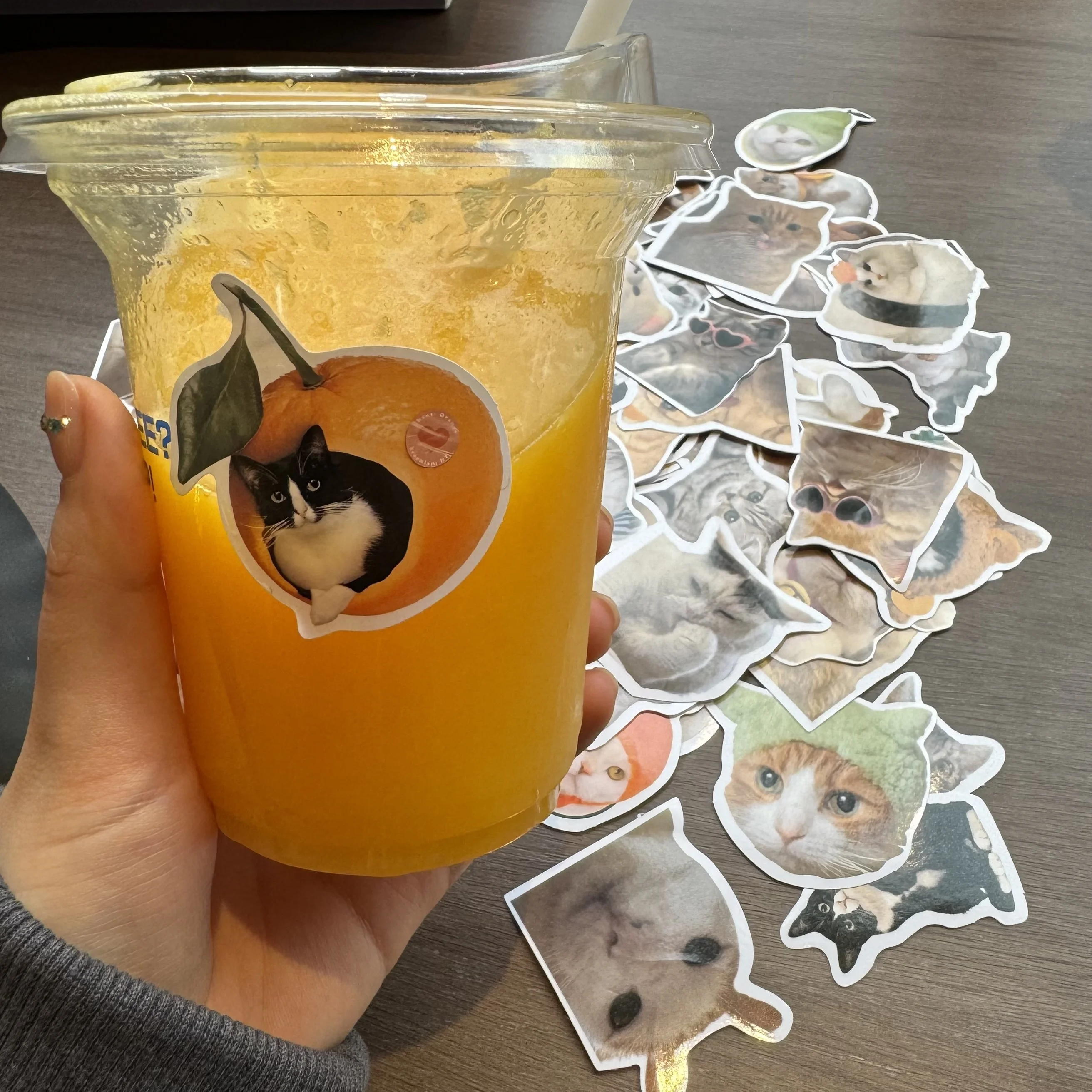 ラップトップ、デスク、コンピューター、荷物収納ボックスウォーターカップを飾るための60枚のかわいいリアルな猫の落書きステッカー