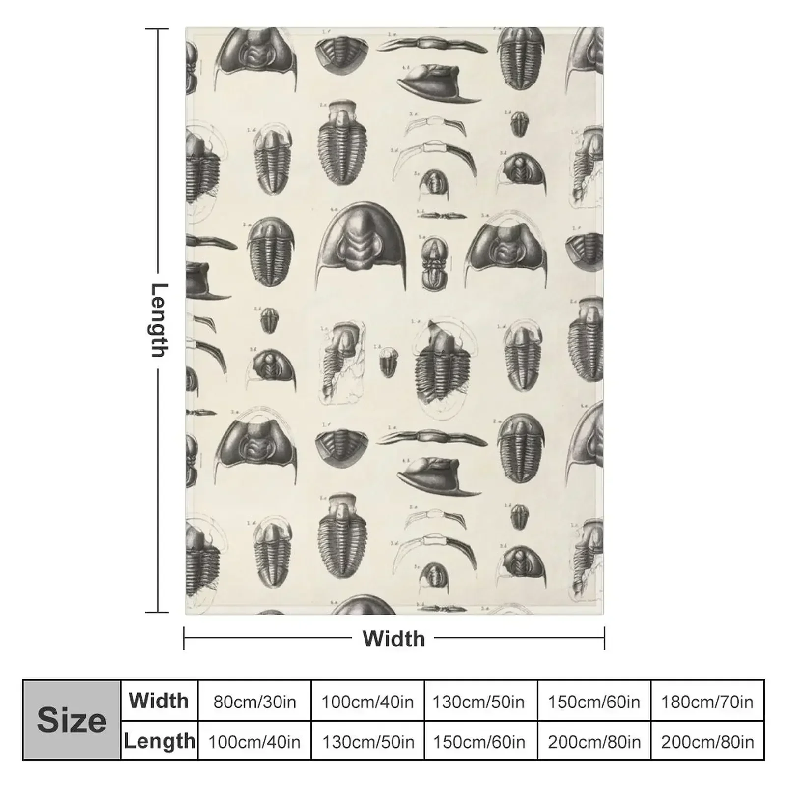 1877 Vintage Etchings of Fossils, Trilobites. II. Primordial period. Throw Blanket blankets and throws Moving Plaid Blankets