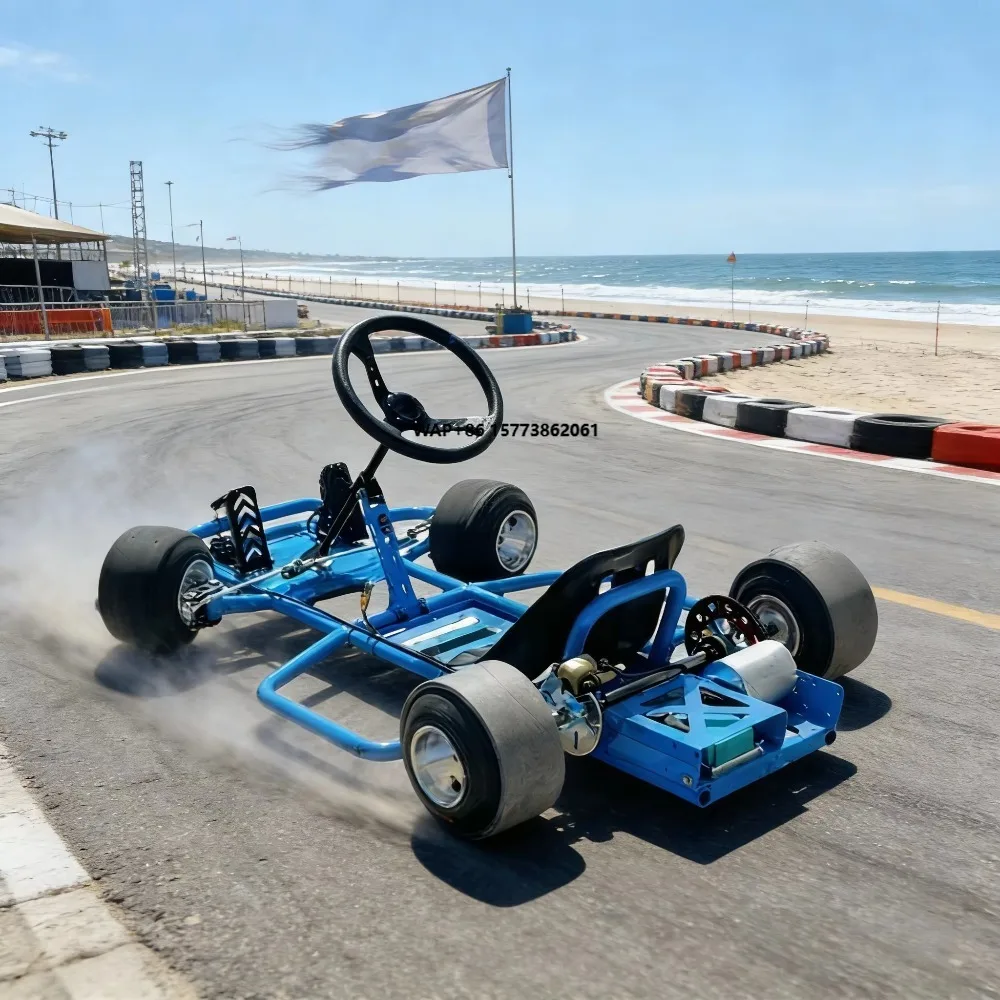 

Fast Electric Go Karts for Sale Electric Karting Car 72V 5000W for Adults Outdoor Racing Gift