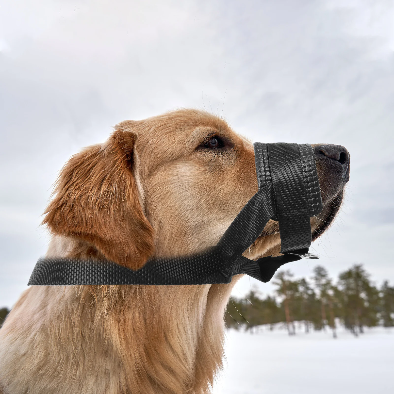 

Adjustable Muzzle Breathable Nylon Anti-Bite Mouth Cover For Chewing Barking Prevention Pet Dog Accessory Safety Muzzle