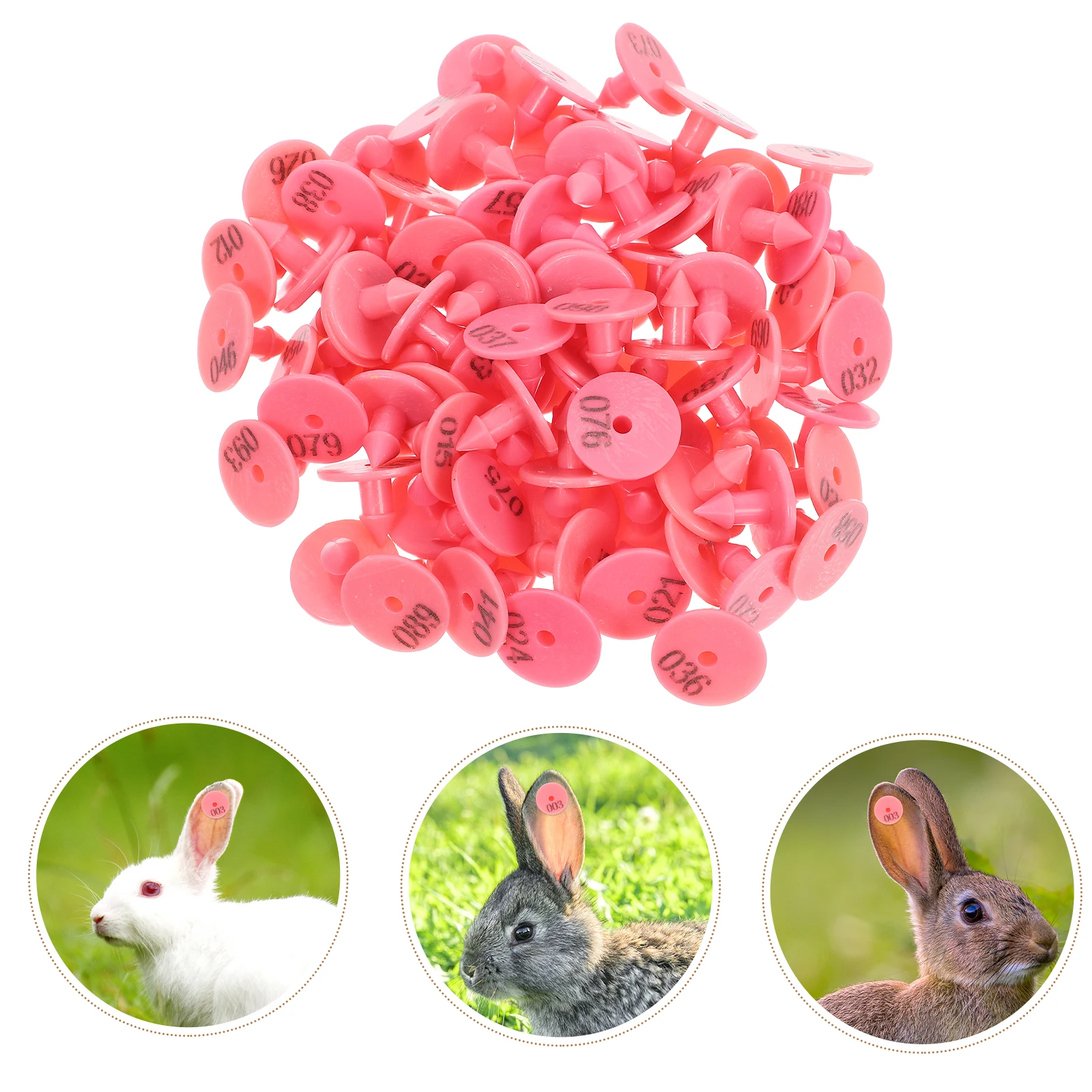

100pcs Rabbit Ear Tags With Printed Numbers For Dogs Cattle Poultry Easy Identification Durable Drop Resistant Farm Management
