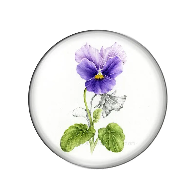 Pansy Flowers Watercolor Painting 10pcs mixed 12mm/18mm/20mm/25mm Round photo glass cabochon demo flat back Making findings