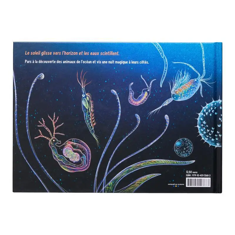 Locean One Night Isabelle Simler La Martiniere Youth 9791040113683 Book