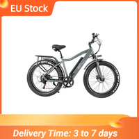 EU Stock 26 Inch Fat Tire Electric Bike 48V 750W 45 km/h Range of 110km All Terrain Powerful Electric Bicycle for Adults