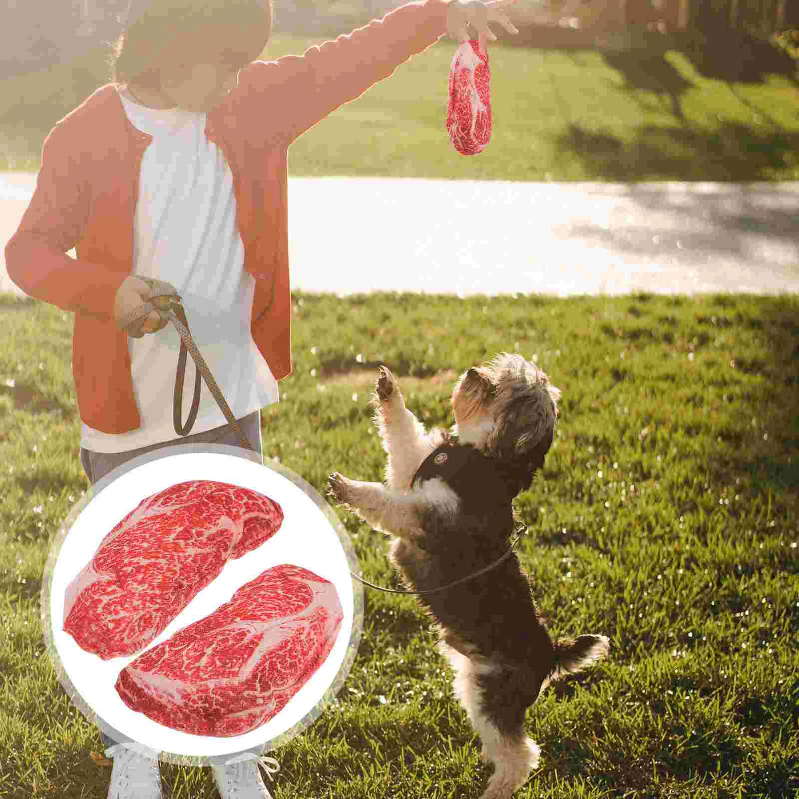 

2 Pcs Chew Pet Toys Fake Food Meat Oxford Cloth Dog Throwing Ball Cartoon Steak