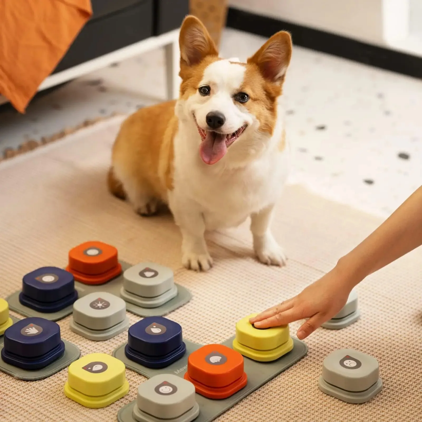 

Dog Communication Buttons Voice Recording Button for PetTraining Buzzer