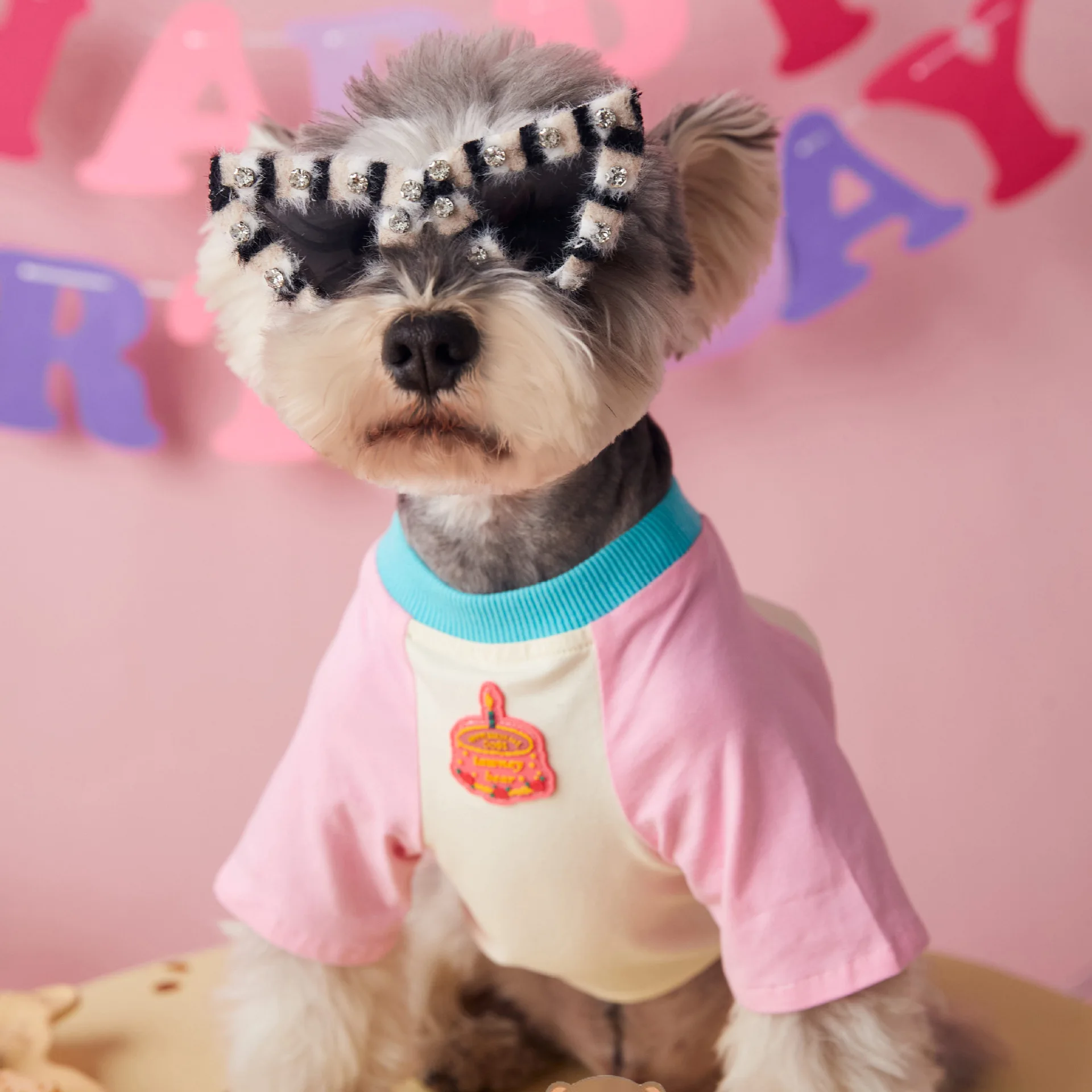 Dog Accessories Fashion Personality Pet Weird Props Glasses Cat Puppy Schnauzer Maltese Party Decoration Small Dog Glasses