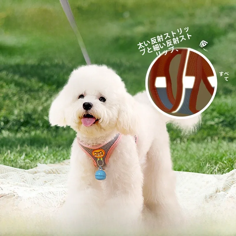 Correa Retráctil para Perros Pequeños, Cachorros, Teddy, Pomsky, Bichón, Arnés para Perros, Bolsa de Transporte para Mascotas, Bolsa de Pecho para Perros, para Pasear Perros