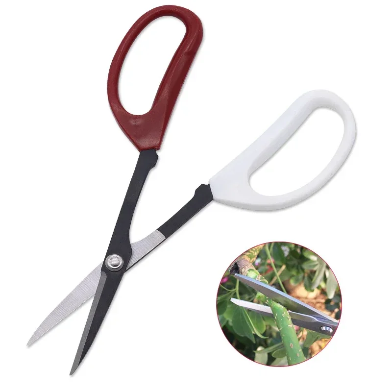 

1PC Stainless Steel Pruning Shear Two-color Handle Branch Flower Bonsai Scissors Gardening Scissors Fruit Picker Kicthen Tools