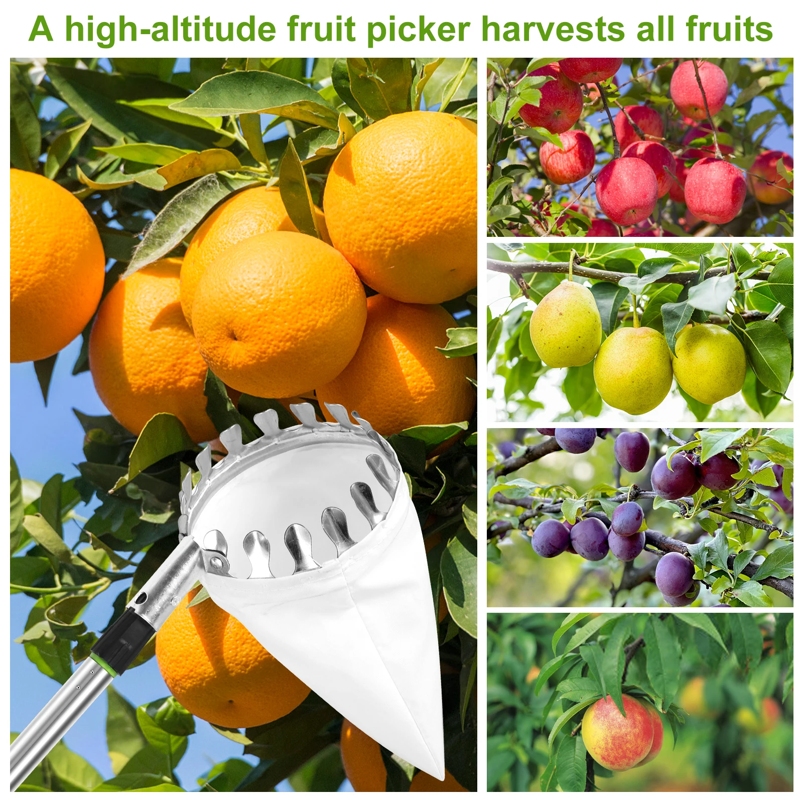 1.5m/2.4m Fruit Picker Stainless Steel Garden Basket Fruit Picker Head with Extendable Pole Lightweight Fruit Picking Tool Set