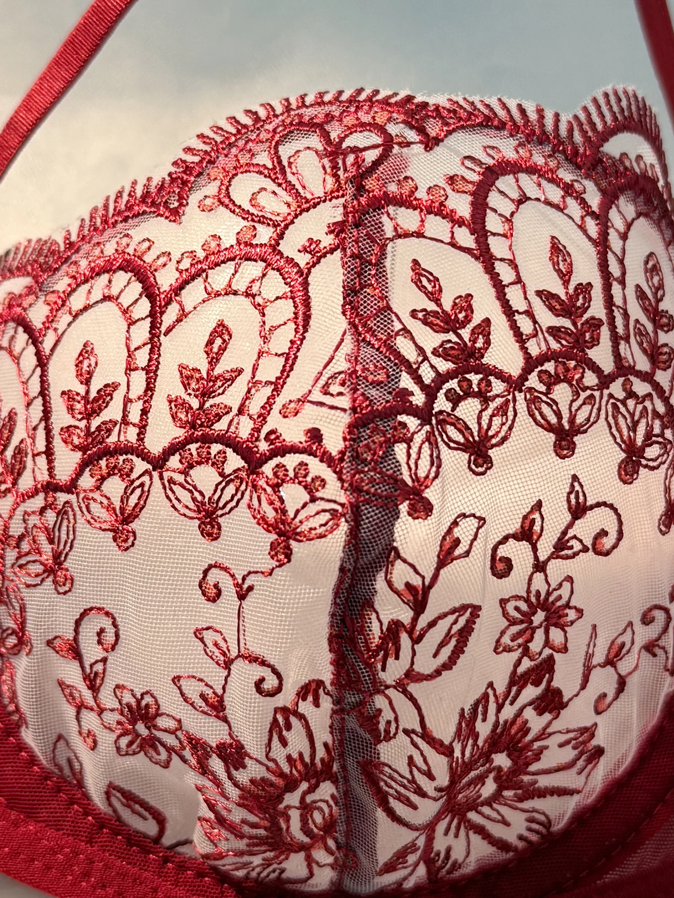 WineRed French-style floral embroidery lace lingerie set, sexy see-through padded support, Valentine's Day party ZA824057 view 3