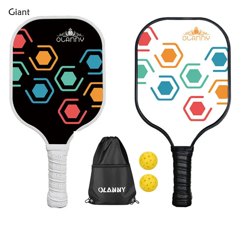 

Pickleball Paddle Set Brand Good Quality Pickle Ball 2 Paddle Super Light and Elastic Racket Ball Competition Court Portable