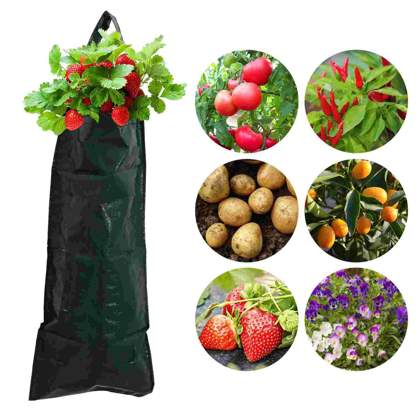 1pc Borsa per coltivazione appesa Borsa per piantare verticale Borsa per fioriera multi-foro Contenitore Borsa per piante verticale Borsa per piante sospese