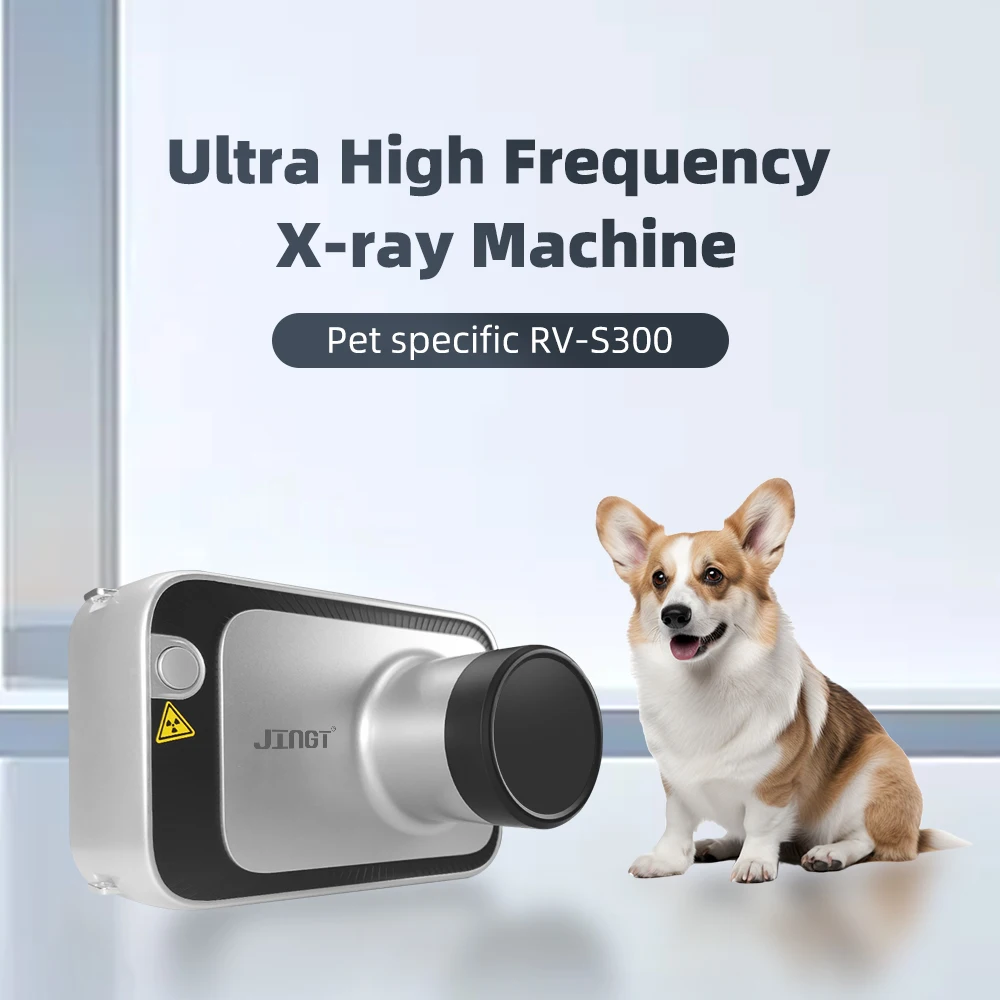 JINGT RV-350R silvery pet X-ray machine ultra-high frequency digital X-ray LCD screenimage X-ray imaging system dentalequipment