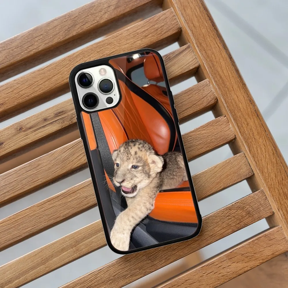 Cute Lion cub Phone Case For iPhone 16,15,14,13,12,11,Plus,Pro,Max,Mini Magsafe Magnetic Wireless Charging image 2