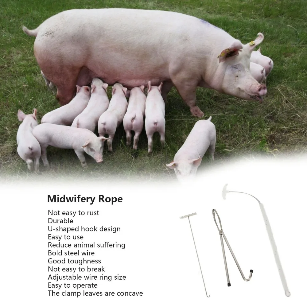 PIG BIRTH PRODUCTS PIG VESSELS Sow Birth Rope Birth Rope+Birth Hook+Birth Pincers Commodity properties Pig Midwifery Set Tools