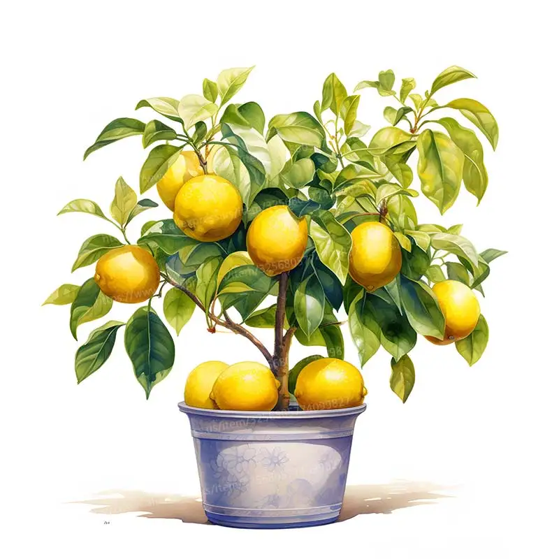 Lemon Tree Wall Sticker kitchen Restaurant Decor Living Room Cabinet Refrigerator Home Decoration Decals Stickers M11177