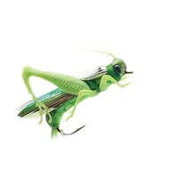 Insect Bionic Fishing Lure Grasshopper Minnow Hard Baits Crankbait  Artificial Swimbaits Bass Carp Pike Fishing Tackle 5