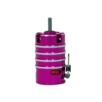 1/24 Mosquito RC Model Car Power Upgrade 1525 Brushless Mini Motor 11000KV 6000KV 7500KV 4500kv 2.0MM Motor DL-1092
