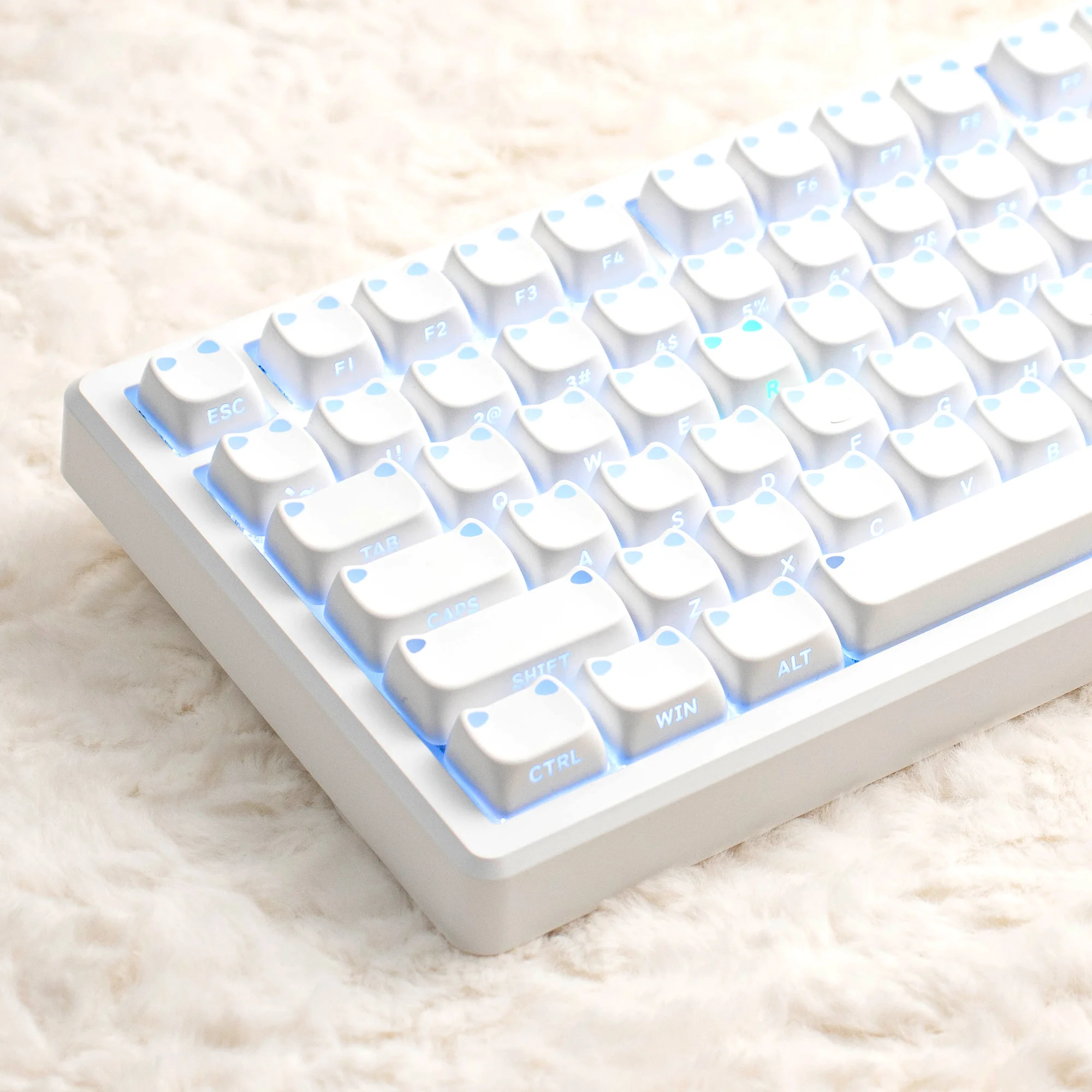 Cute Cat Keycaps PBT MAO Profile Round Keycap Side Print Through Backlit Keycap Minimalist White Style For Mechanical Keyboard