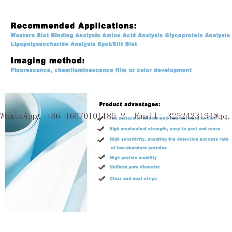 WEIAI Protein Binding Premium Amino Acid Lipopolysaccharide PVDF NC Western Blotting Membranes Medical Lab Transfer Membrane
