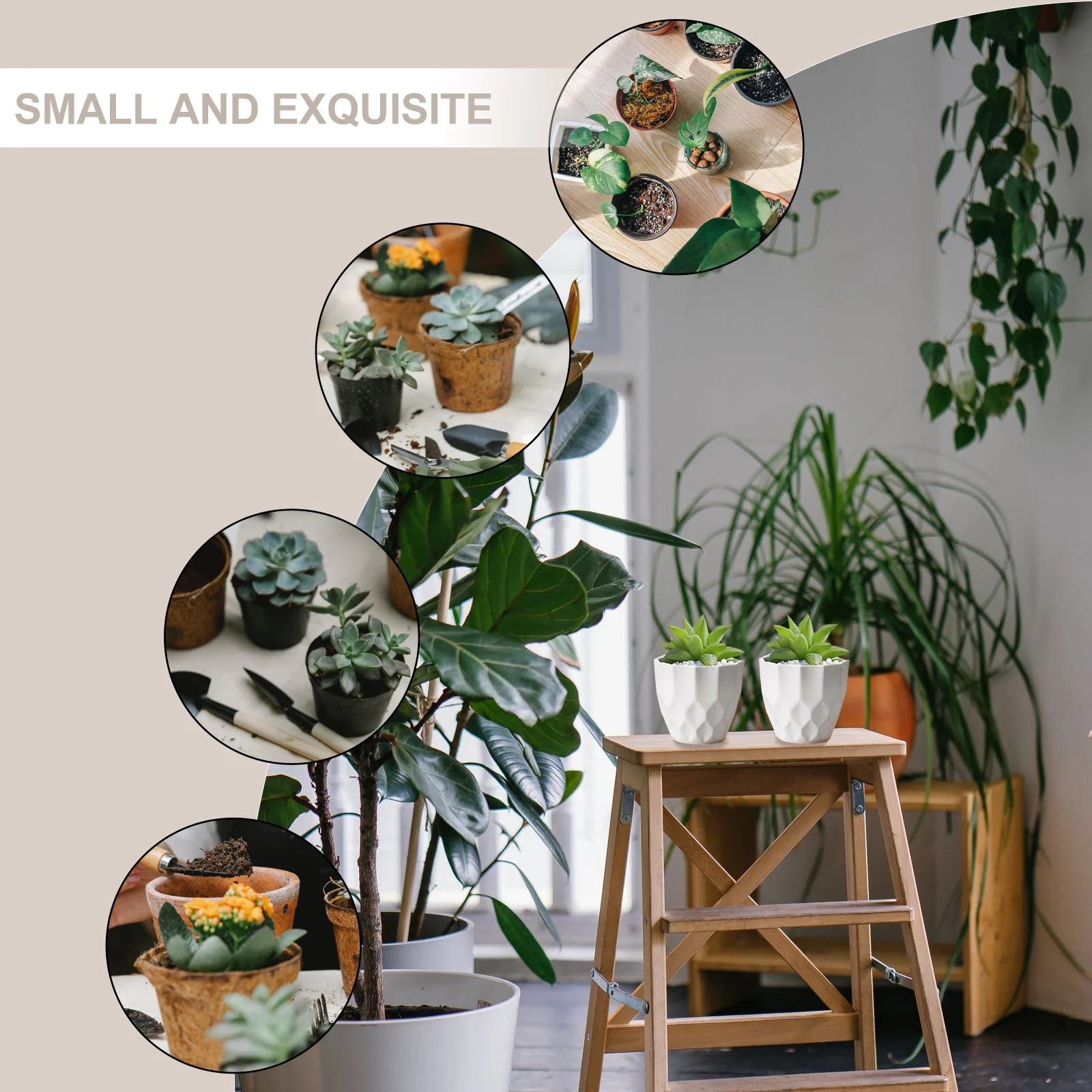 

10Pcs Lightweight Frosted Flower Pot Mini Succulents Plant Container Unique Nordic Design Frosted Flower Pot Mini Flowerpot