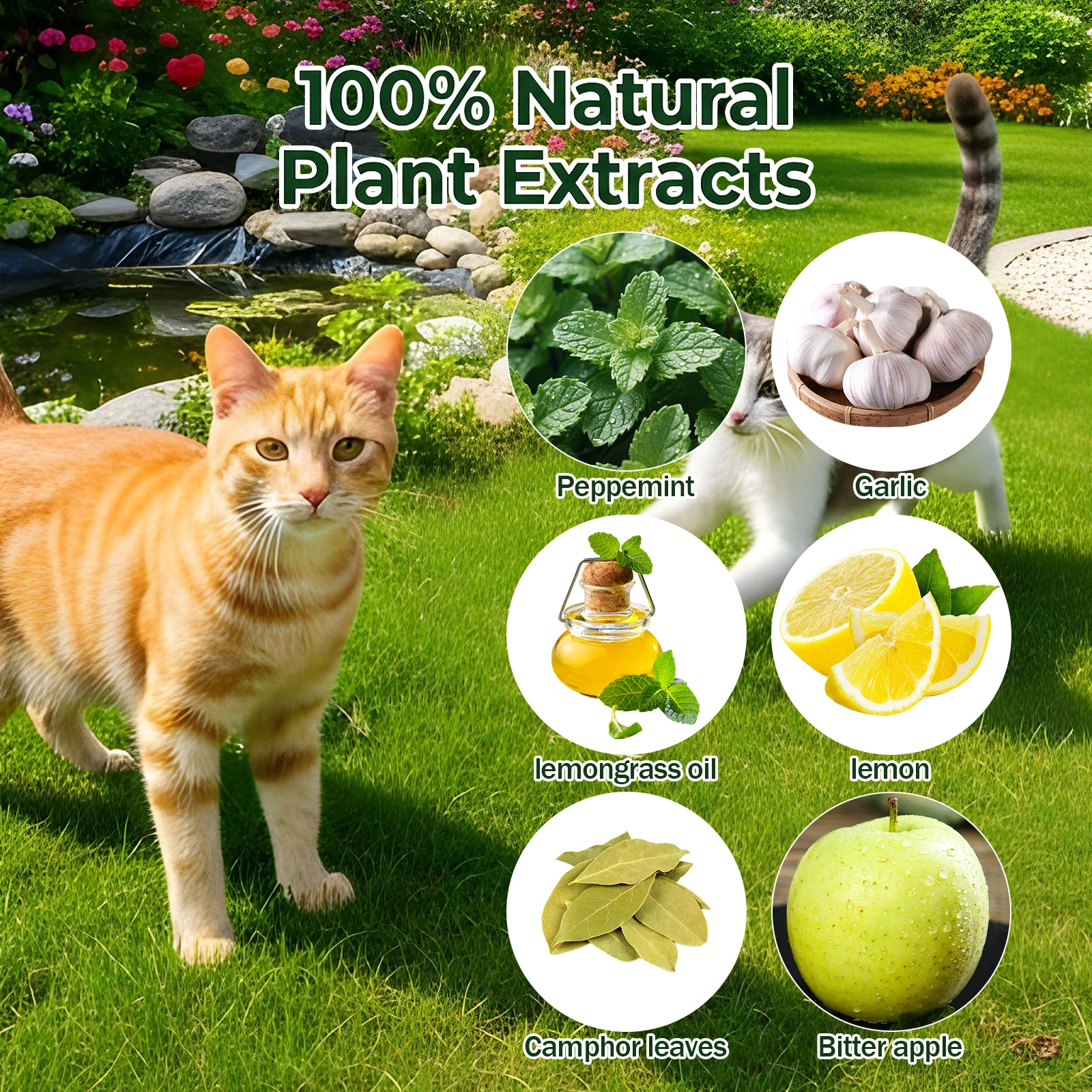 12Pcs Cat Repellent Ball Natural Peppermint Oil Cat Repellent Plant Based Anti Cat Scratch Ball for Keep Pet Off Yard Garden