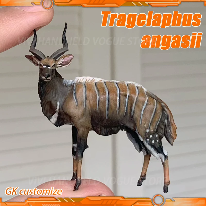 Statunga: Alles, was Sie über das Modell des Sitatunga-Wiederkäuers wissen müssen