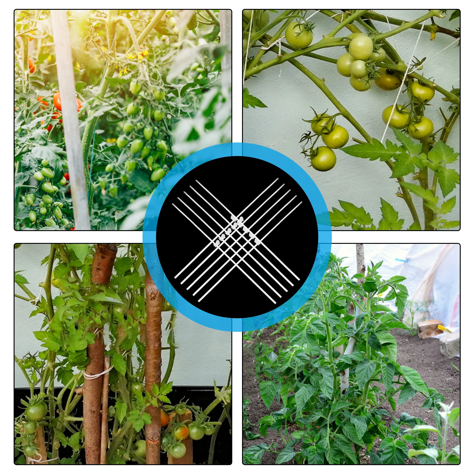 

1 Set Acrylic Plant Stake Transparent Vine Stake Garden Flower Stem Support Accessories For Orchid Roses Potted Plants Garden