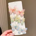 6PCS-B