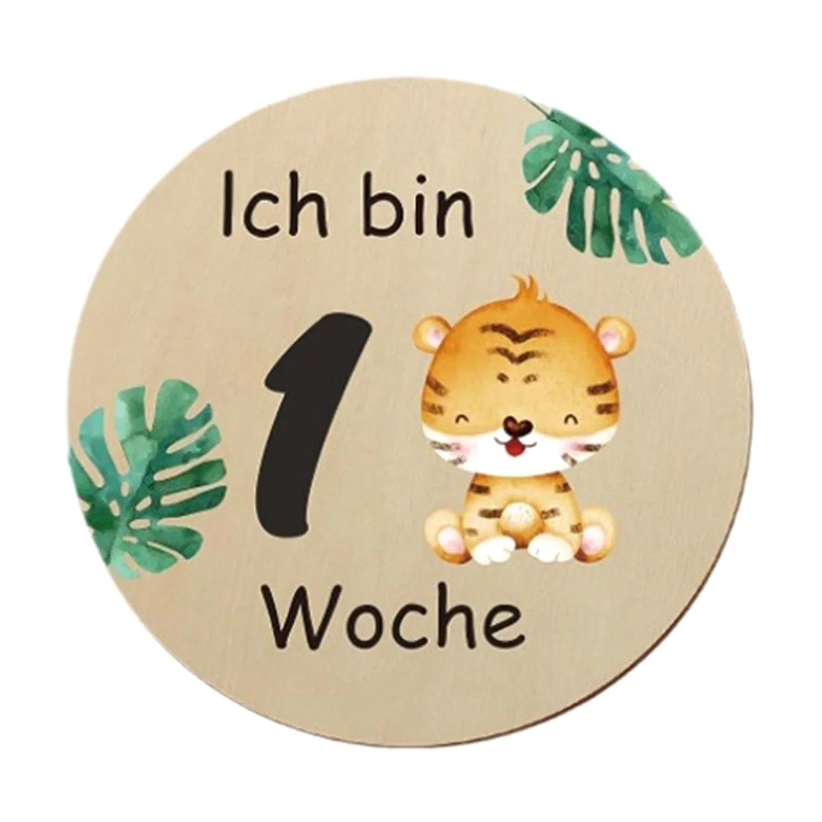 ABFW 15PCS Beautiful Baby Monthly Cards - Double Sided Milestone Wooden Circles Discs with Birth Sign for Girl Boy