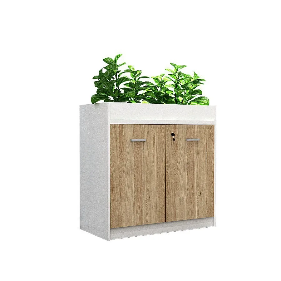 

Plantable Office Partition Office Cabinet Top Modern Multifunctional Filing Cabinet Customized Wholesale