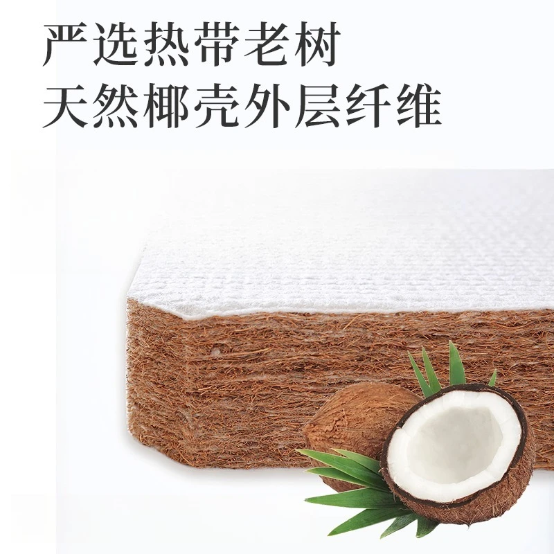 Tatami floor mat sleeping coconut palm mattress tatami floor kang