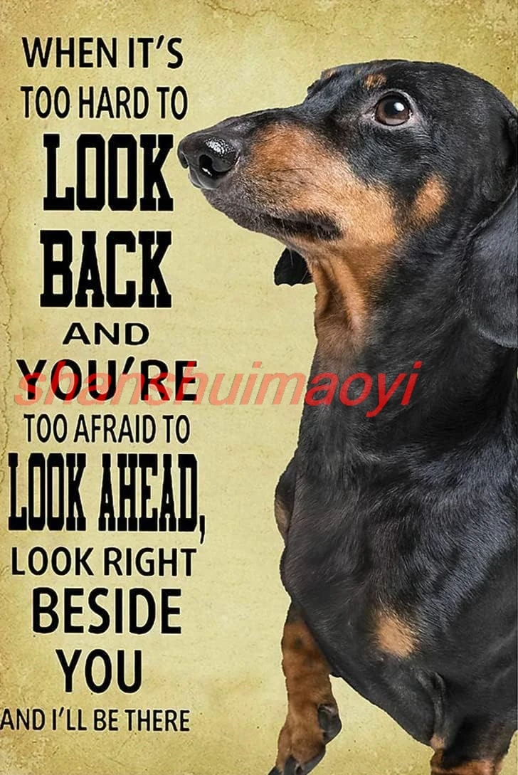shan Aluminum Sign Metal Poster Plaque Dachshund Look Right Beside You Poster Metal Sign Iron Painting Retro Wall Decor N 1pc