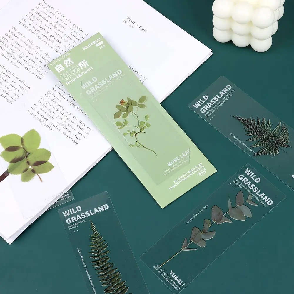 5Pcs/Set Nature Plants Flower Ins Style Bookmarks Card Translucent Flower Book Note Marker Page Holder PET Reading Bookmarks