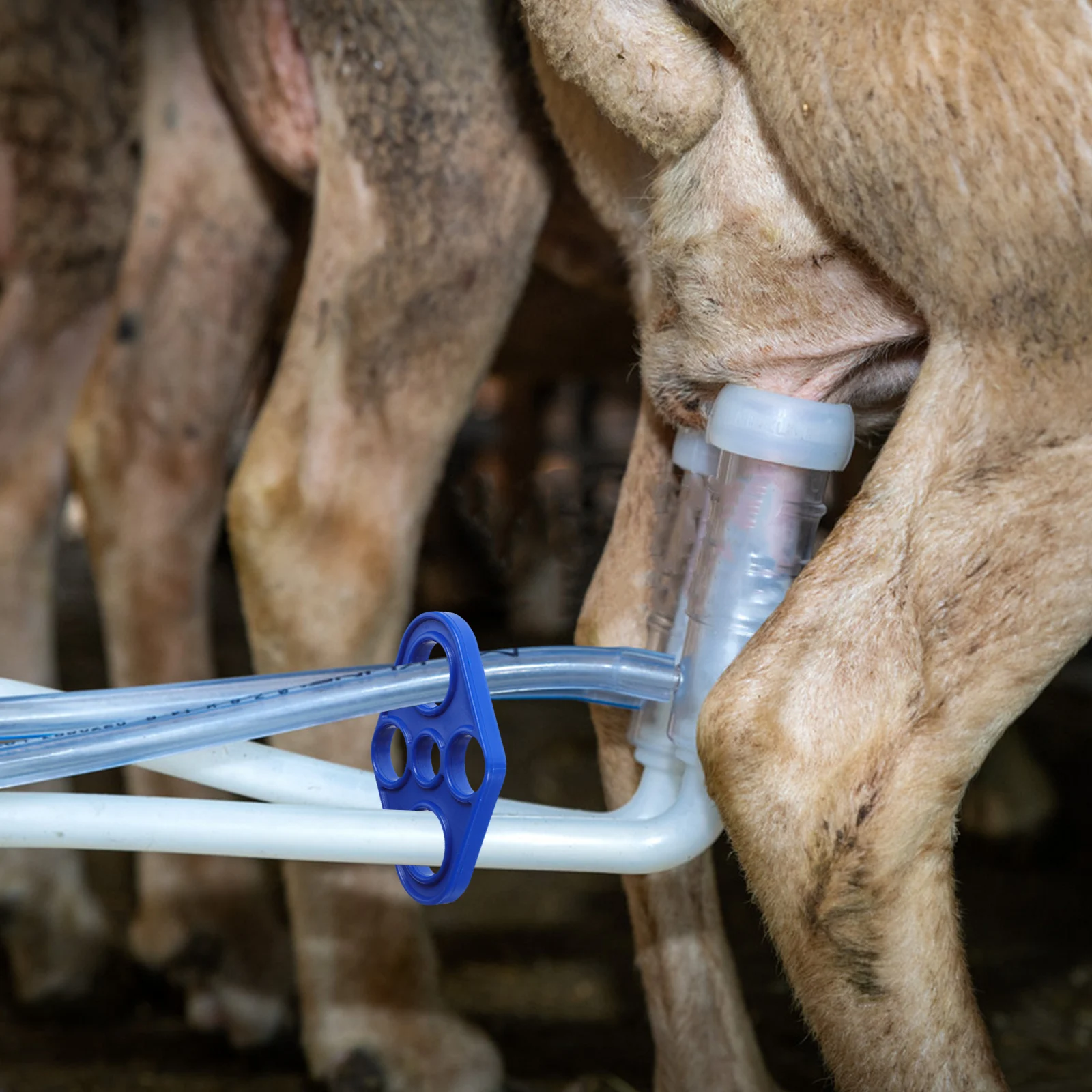 

Plastic Holder Goat Machine Component Easy To Use Wear Resistant Enhanced Efficiency Compatible Various Models Milking Machine