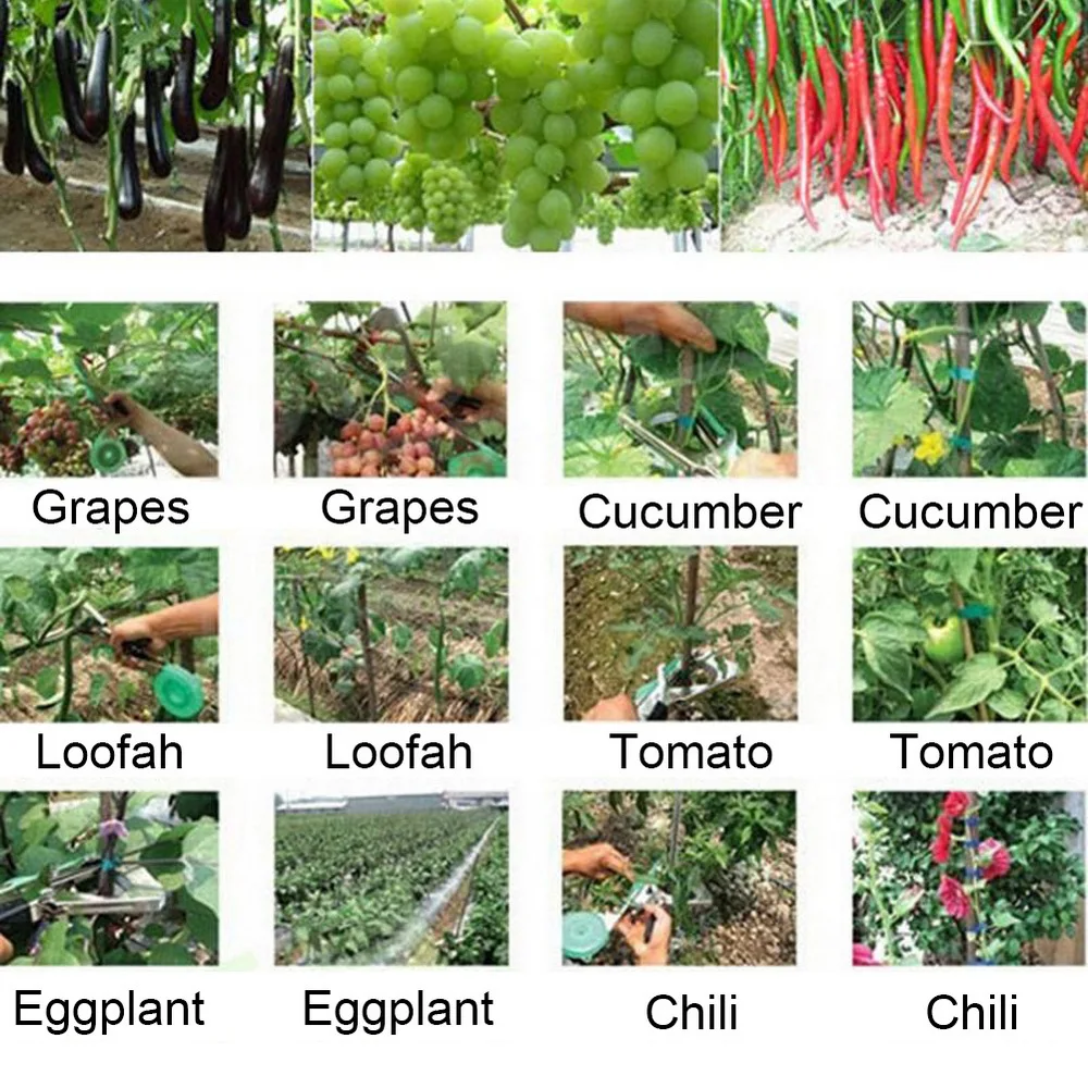 Machine à Attacher les Plantes de user inage, Pistolet à Main avec Ruban Adhésif et Storiel pour le user inage des Légumes et du Raisin