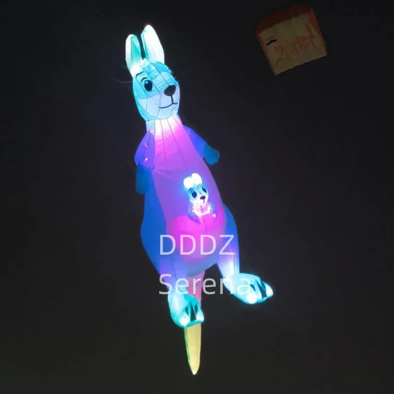 DDDZ 6m LED kangourou nuit cerf-volant 40D Ripstop Nylon tissu ligne blanchisserie spectacle cerf-volant pendentif grand doux gonflable cerf-volant bon vol