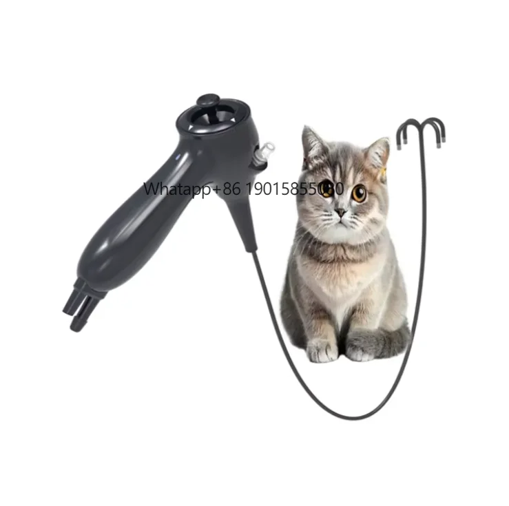 

Veterinary Use Digital Ent Endoscope Flexible Endoscope Hospital Ent Electronic Flexible Video Endoscope Video Bronchoscope