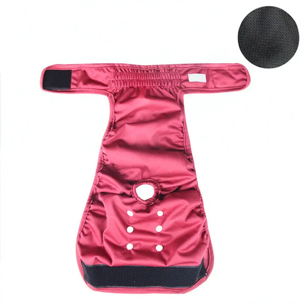 Washable Female Dog Physiological Pants Pet Sanitary Diapers Breathable Puppy Period Underwear Comfortable Heat Cycle Briefs