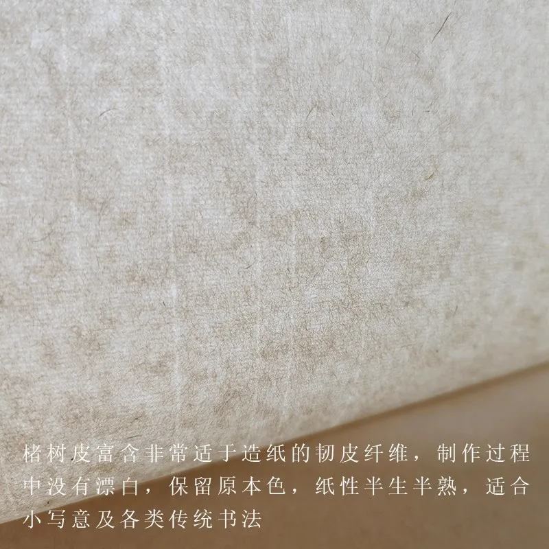 10 Sheets Semi-raw Xuan Paper (Rice Paper) - Medium Absorbency for Chinese Calligraphy & Ink Painting Practice