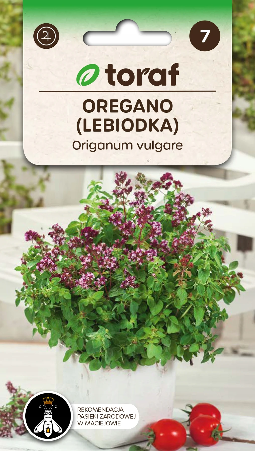 Kruiden Oregano Kruidenzaden voor de tuin-Toraf 308