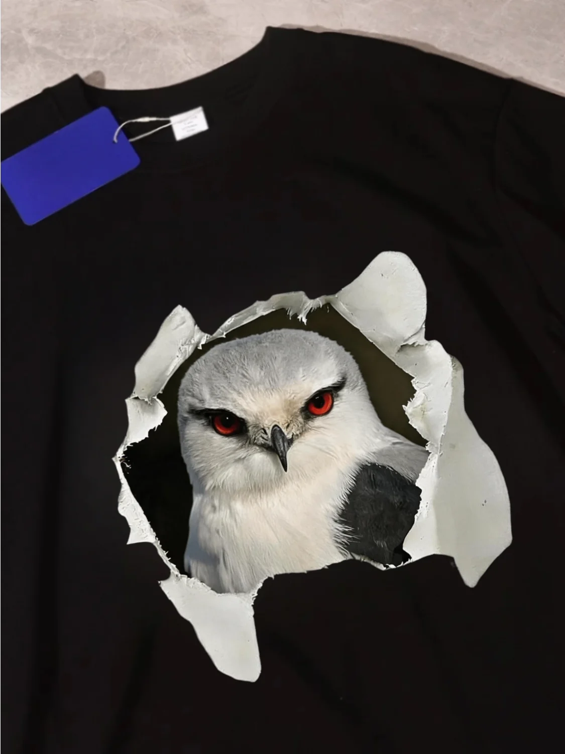 Casual Cotton T-Shirt Bird Watching Outdoor Sports Pure Cotton Design Personalized Leisure Black Winged Hawk Print Tee