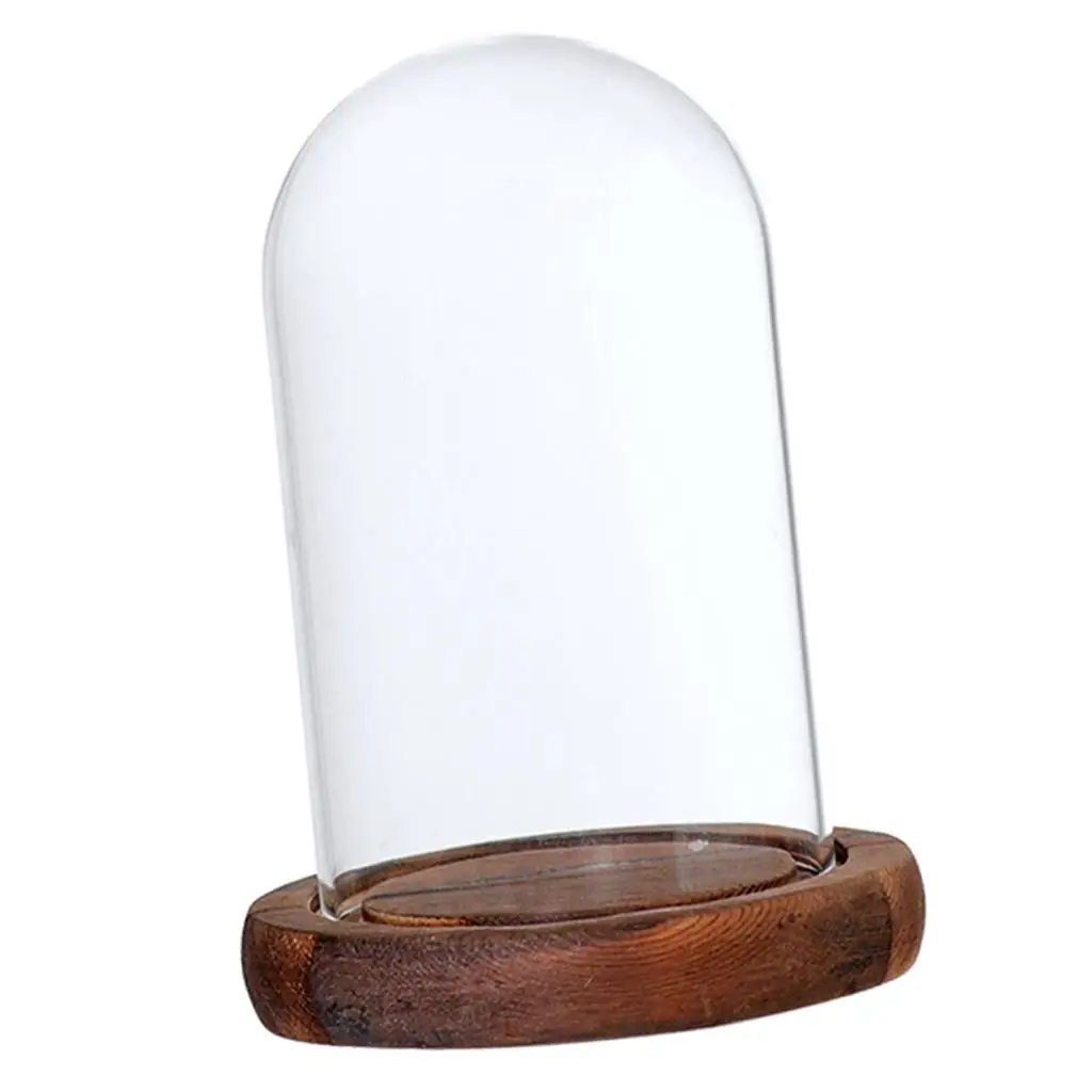 Glass Display Dome with Base DIY Micro Landscape Vase for Home Decoration Pinterest Room Ideas