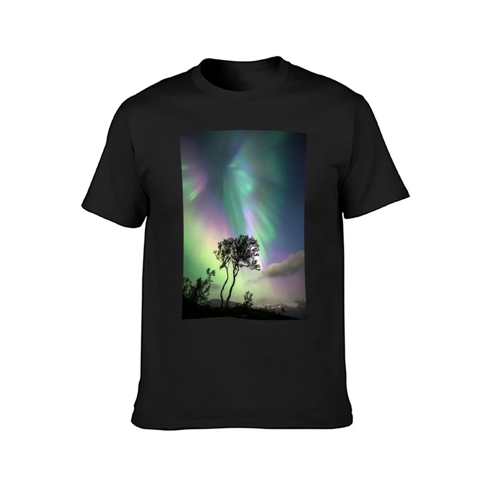 Aurora borealis, Norway (C023/2380) T-Shirt new edition heavyweights mens vintage t shirts