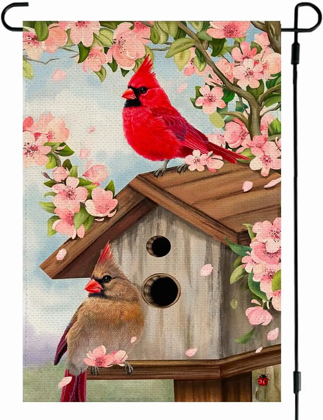 Rabusofa Cardinal S… - image